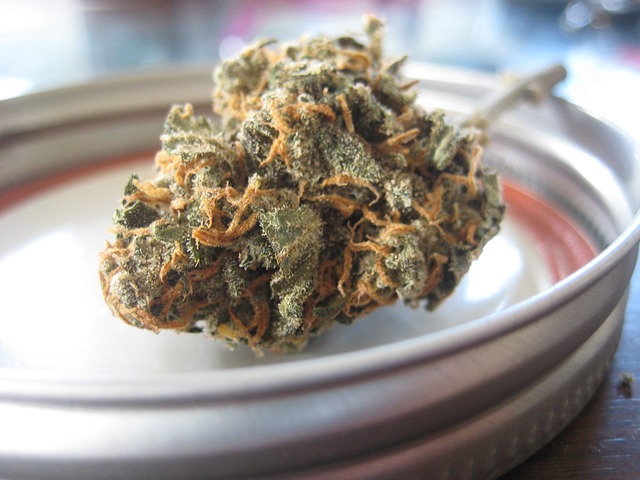 Les réglementations sur les méthodes d'extraction du CBD