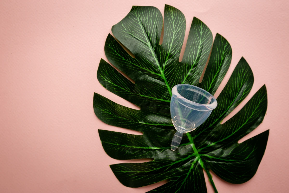 Normes sanitaires pour la commercialisation des cups menstruelles : un guide complet