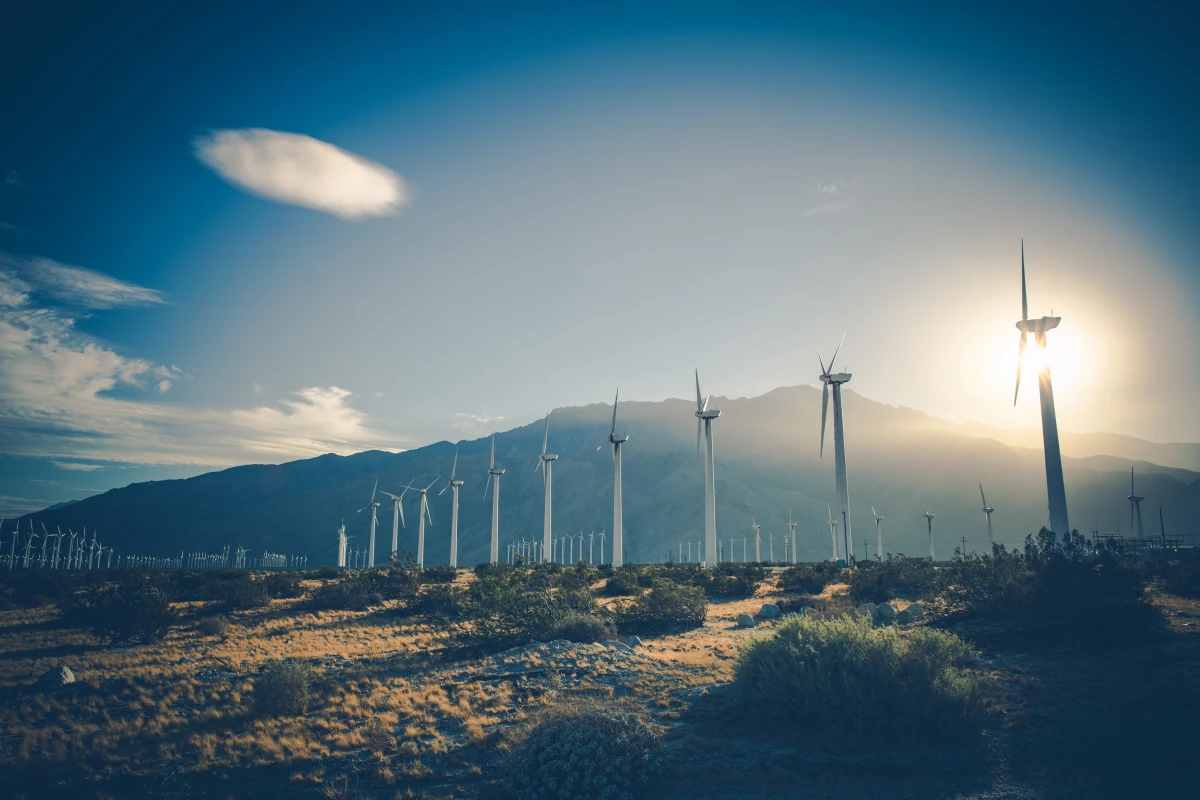 Les nouvelles législations sur les énergies renouvelables : un pas de géant vers un avenir durable