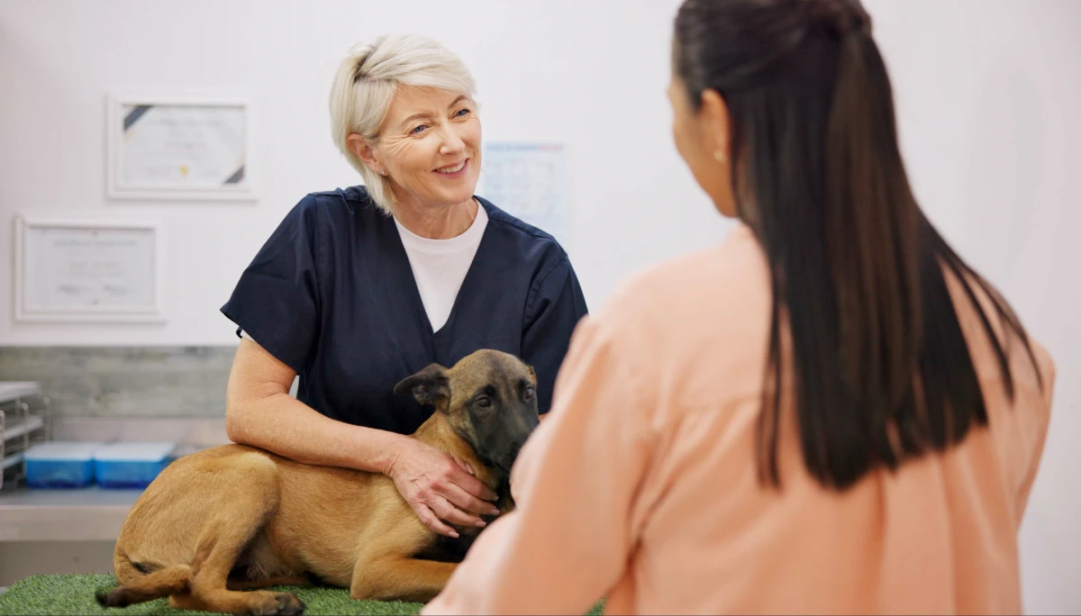 L'assurance animaux : Une protection indispensable pour nos fidèles compagnons