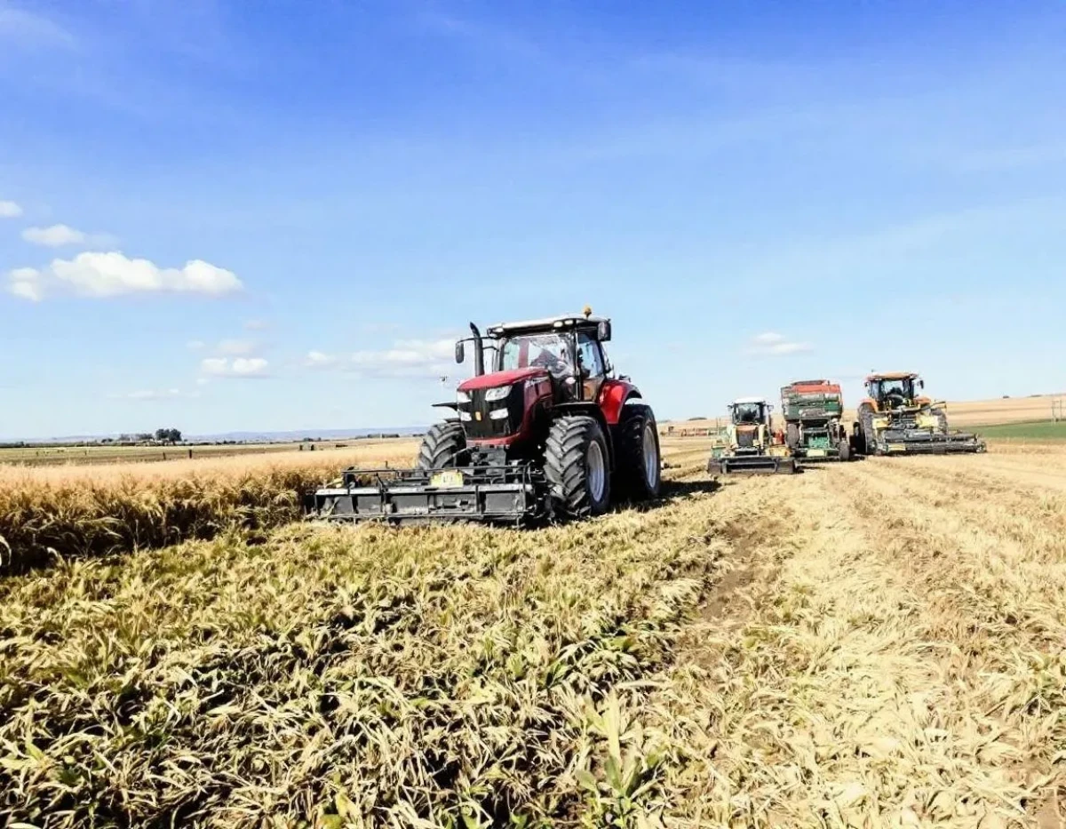 L'Assurance Multirisque Agricole : Protéger l'Avenir de Nos Exploitations Agricoles