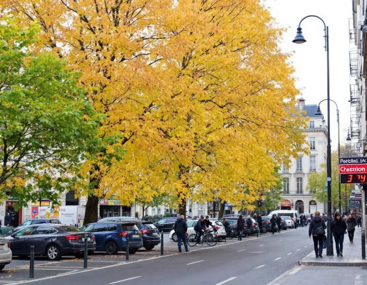 Entre rigidité et souplesse : Le droit de l'urbanisme français à l'épreuve des réalités territoriales